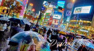 Kultura i społeczeństwo Japonii