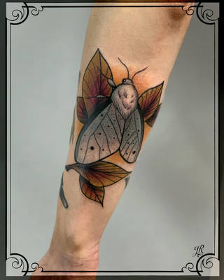 Galeria artysty: Jaraslav, &nbsp;