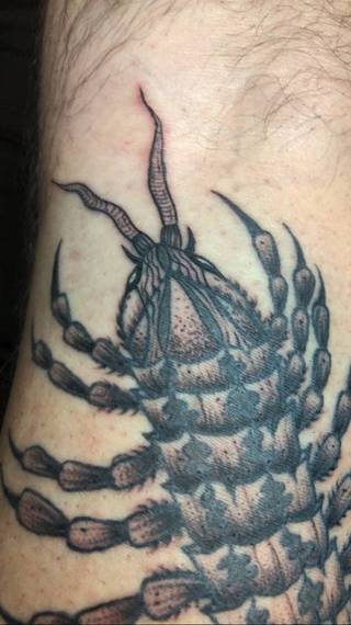 Galeria artysty: Nullpunkt Tattoo,  