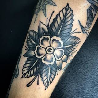 Galeria artysty: Paweł Reduch, Tego Pana chyba nie trzeba...