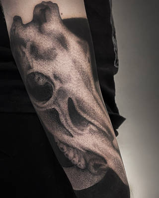 Galeria artysty: Psysze Tattoo,  