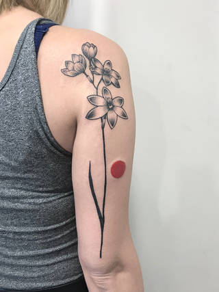 Galeria artysty: Sebastian Black,  