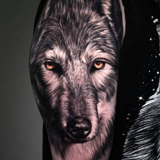 Galeria artysty: WYRO,  