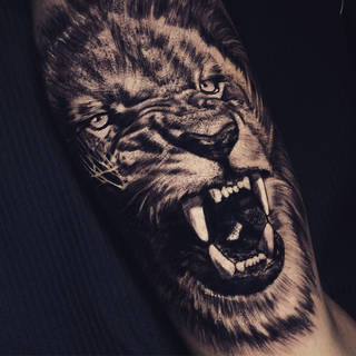 Galeria artysty: WYRO,  