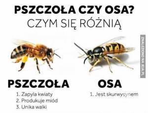 Tatuaże Moja Dziara by Sven Rayen