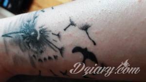 Cześć. Chce podbić ten temat....