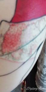 Dodaje drugie zdjęcie zrobione dzisiaj....