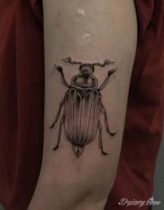 Hej, nie wiem czy oferta...