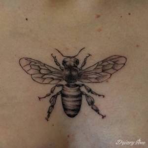 Hej, nie wiem czy oferta...