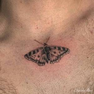 Hej, nie wiem czy oferta...