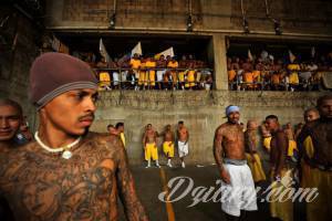 jeszcze w temacie dziar przestępców...