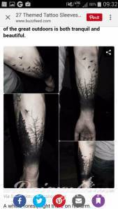 Las, który odradzili mi w...