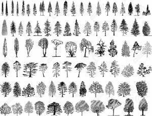 Tatuaże Pytanie o wzór !!! Może coś takiego Ci pomoże...