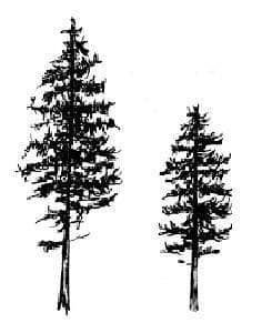 Tatuaże Pytanie o wzór !!! Może coś takiego Ci pomoże...