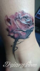 Nie daje mi to cały...