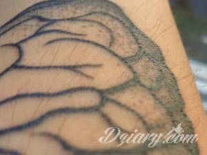 Głównie chodzi o kontury 