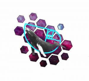 UWAGAWstawiamy wolne projekty od Nataly....