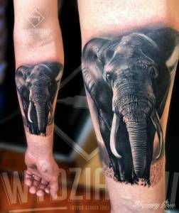  Jak dla nas słonieł odpi*rdolony...