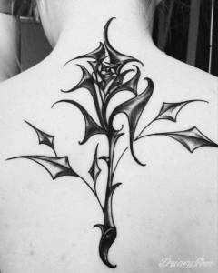 Jak na razie nie pojawiły...