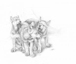 Tatuaże PROŚBA O POMOC W DOKOŃCZENIU... Jak urat miałem w zasobniku...