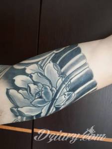 Karp Koi i Lotos, zrobiony...