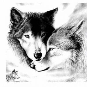 Tatuaże PROŚBA O POMOC W DOKOŃCZENIU... Od strony księżyca wilk z...