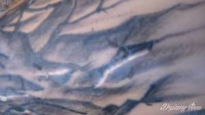 Sorki ale nie mogę wrzucić...