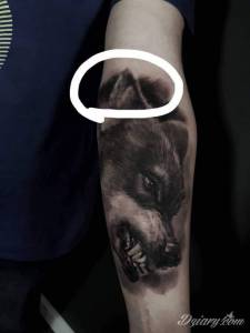 Ta zaznaczona cześć wchodzi na...