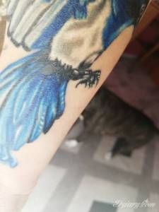 To jest tatuaż z 3.09,...