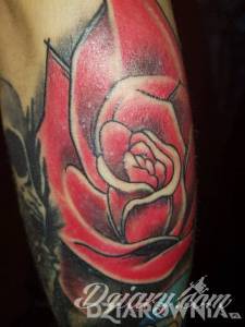 W sumie niewiem czy u...