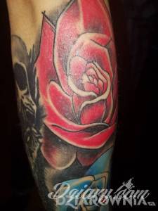 W sumie niewiem czy u...