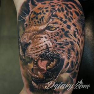 Tatuaże Szukam wzoru Podrzucam kilka tygrysów.