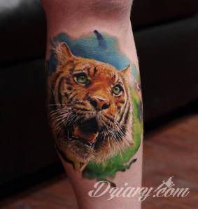 Tatuaże Szukam wzoru Podrzucam kilka tygrysów.