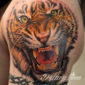 Tatuaże Szukam wzoru Podrzucam kilka tygrysów.