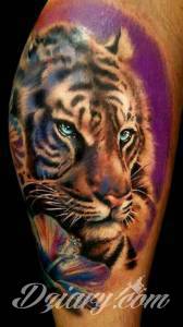Tatuaże Szukam wzoru Podrzucam kilka tygrysów.