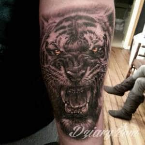 Tatuaże Szukam wzoru Podrzucam kilka tygrysów.