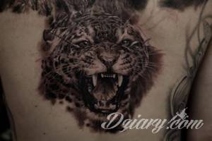 Tatuaże Szukam wzoru Podrzucam kilka tygrysów.