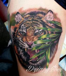 Tatuaże Szukam wzoru Podrzucam kilka tygrysów.