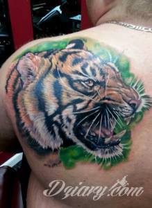 Tatuaże Szukam wzoru Podrzucam kilka tygrysów.