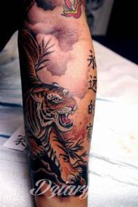 Tatuaże Szukam wzoru Podrzucam kilka tygrysów.