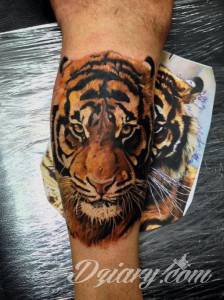 Tatuaże Szukam wzoru Podrzucam kilka tygrysów.