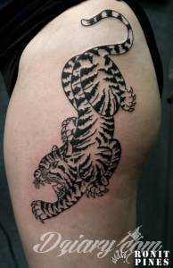 Tatuaże Szukam wzoru Podrzucam kilka tygrysów.