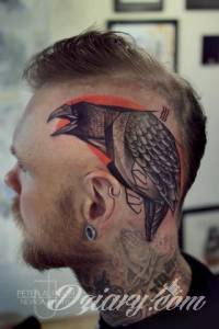 Ptak na głowie z dodatkiem...