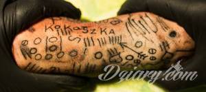 Siema. podsyłam foty moich pierwszych...