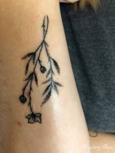 Słuchajcie nie daje mi spokoju...