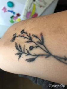 Słuchajcie nie daje mi spokoju...