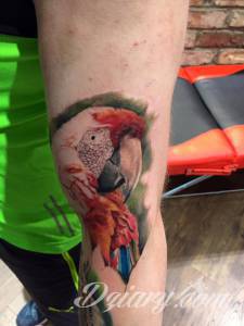 Tak !!! Szukamy profesjonalnych tatuatorow...