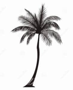 Tatuaże pomysł na dziare Taki