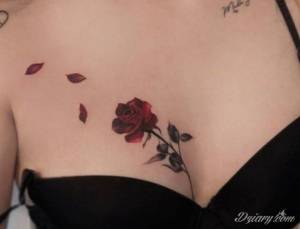 We are providing wide range...