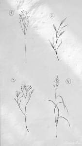 Wolne szkice w Vean Tattoo Studio Gdańsk.